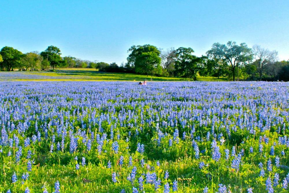 Square Inn Wimberley Zewnętrze zdjęcie